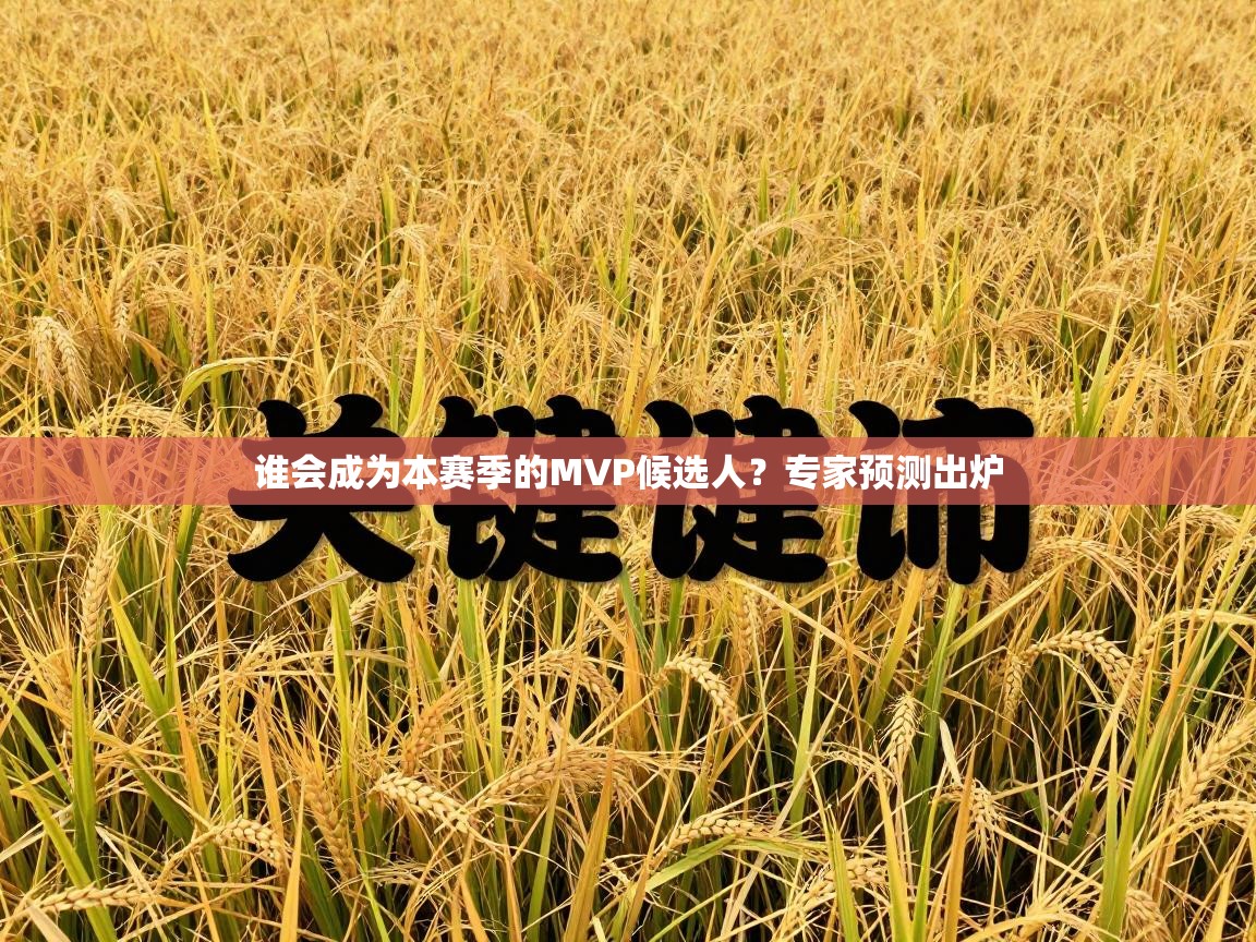 谁会成为本赛季的MVP候选人?专家预测出炉 第1张